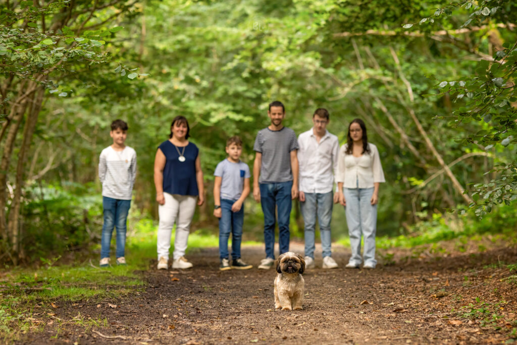 séance-photo-famille-en-forêt-Finistère