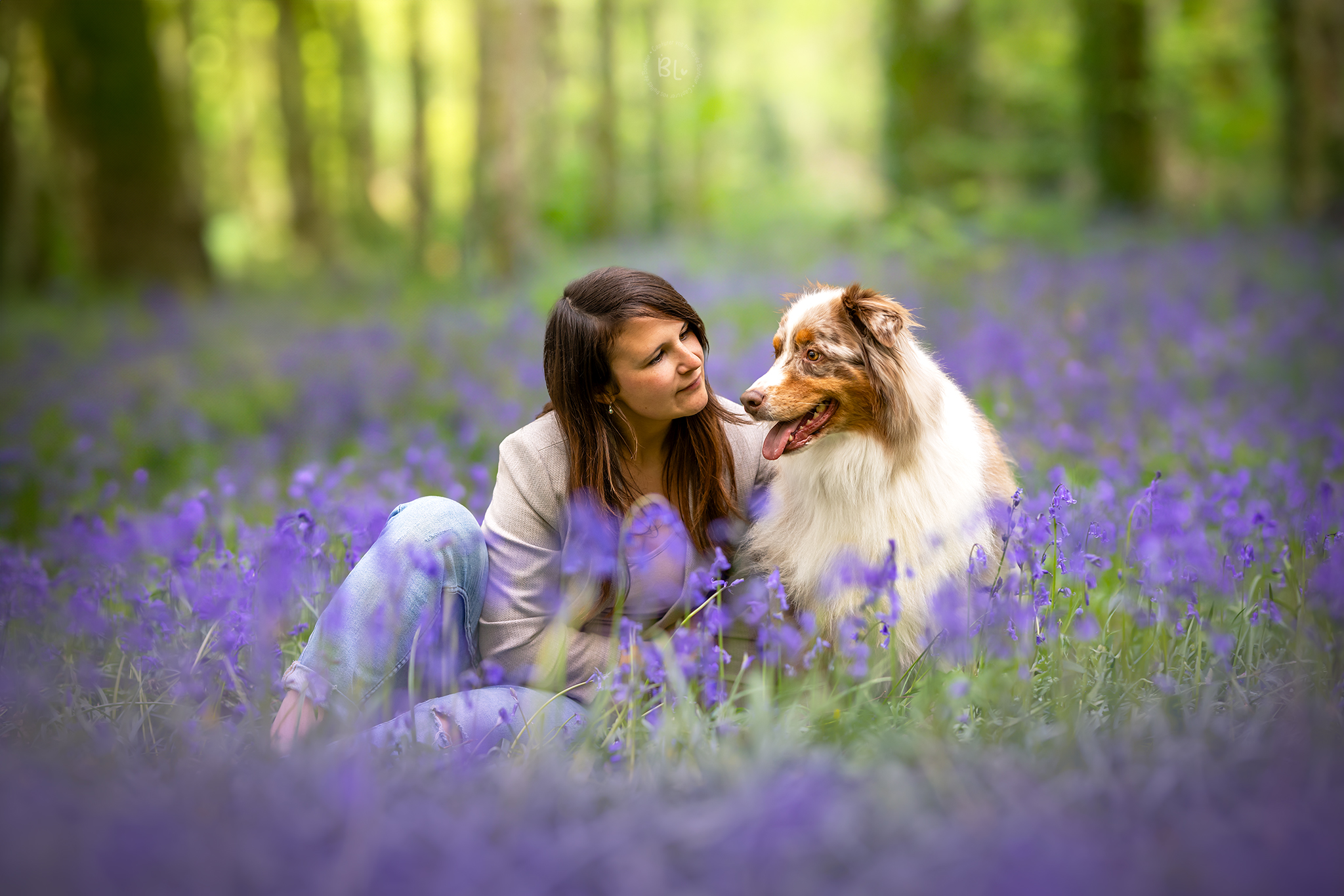 photo-dans-fleurs-berger-australien-couple-maitre-chien-photographe-canin-brest-plougonvelin-plouzané