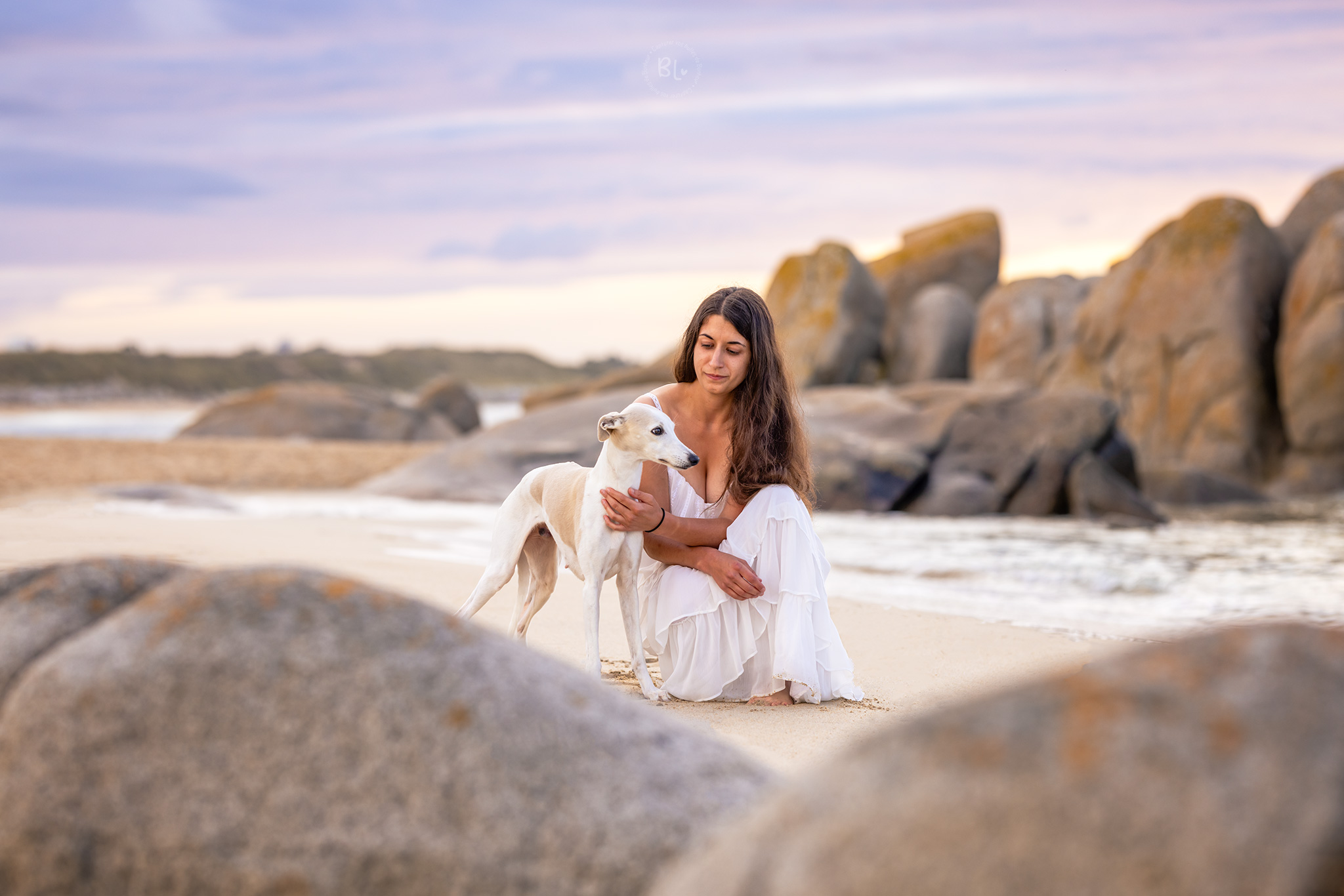 séance-photo-chien-plage-coucher-soleil-photographe-canin-brest-plougonvelin-plouzané-landerneau