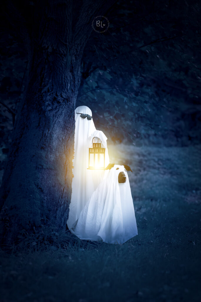 Séance-photo-halloween-chien-brest-plouzané-plougonvelin-landivisiau