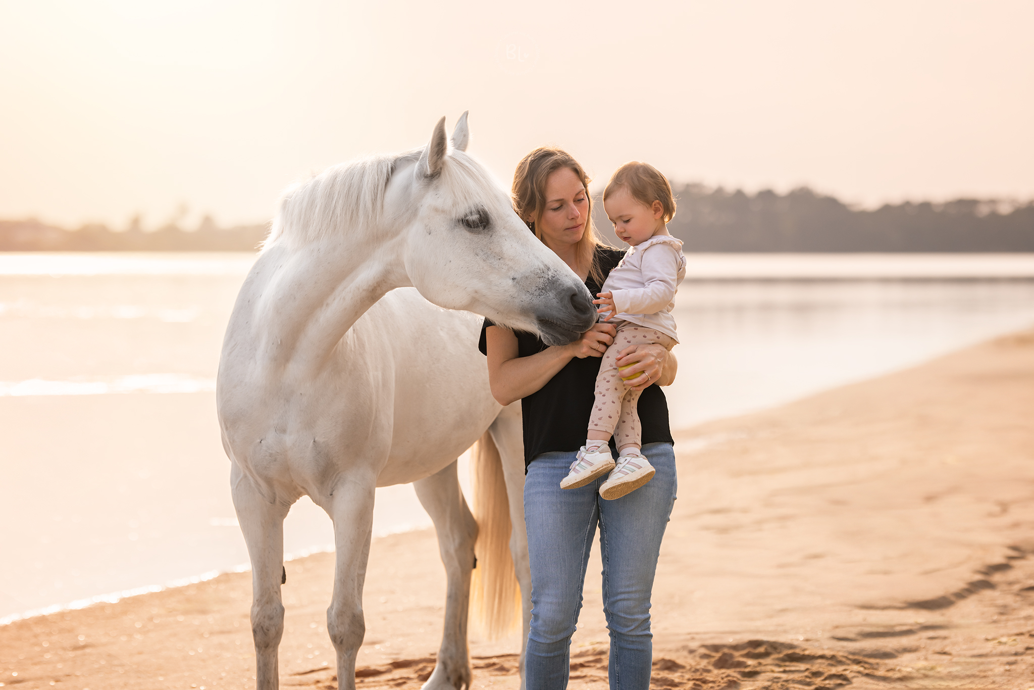 photographe-chien-chat-cheval-studio-extérieur-brest-Finistère-Plougonvelin