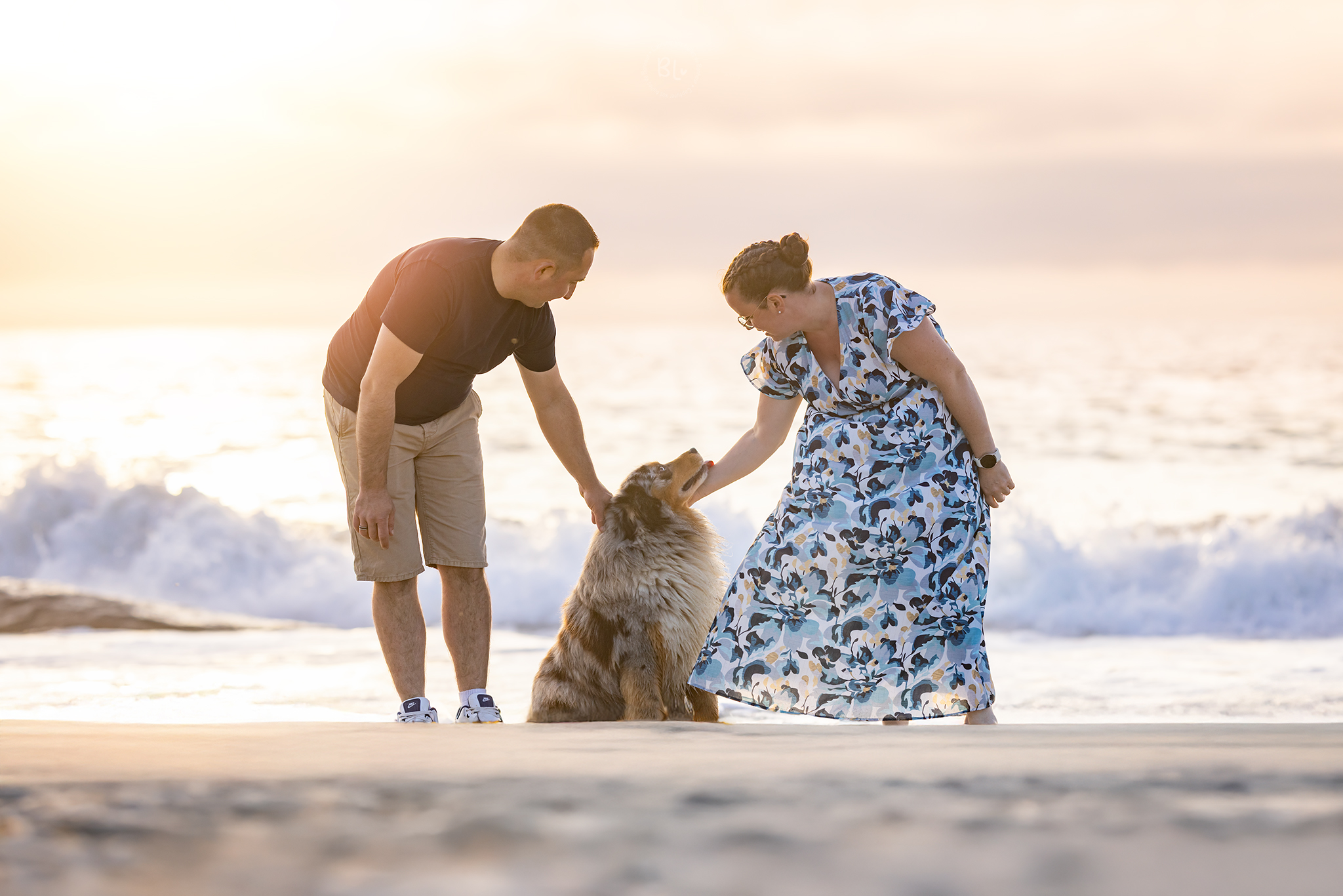 photographe-chien-chat-cheval-studio-extérieur-brest-Finistère-Plougonvelin