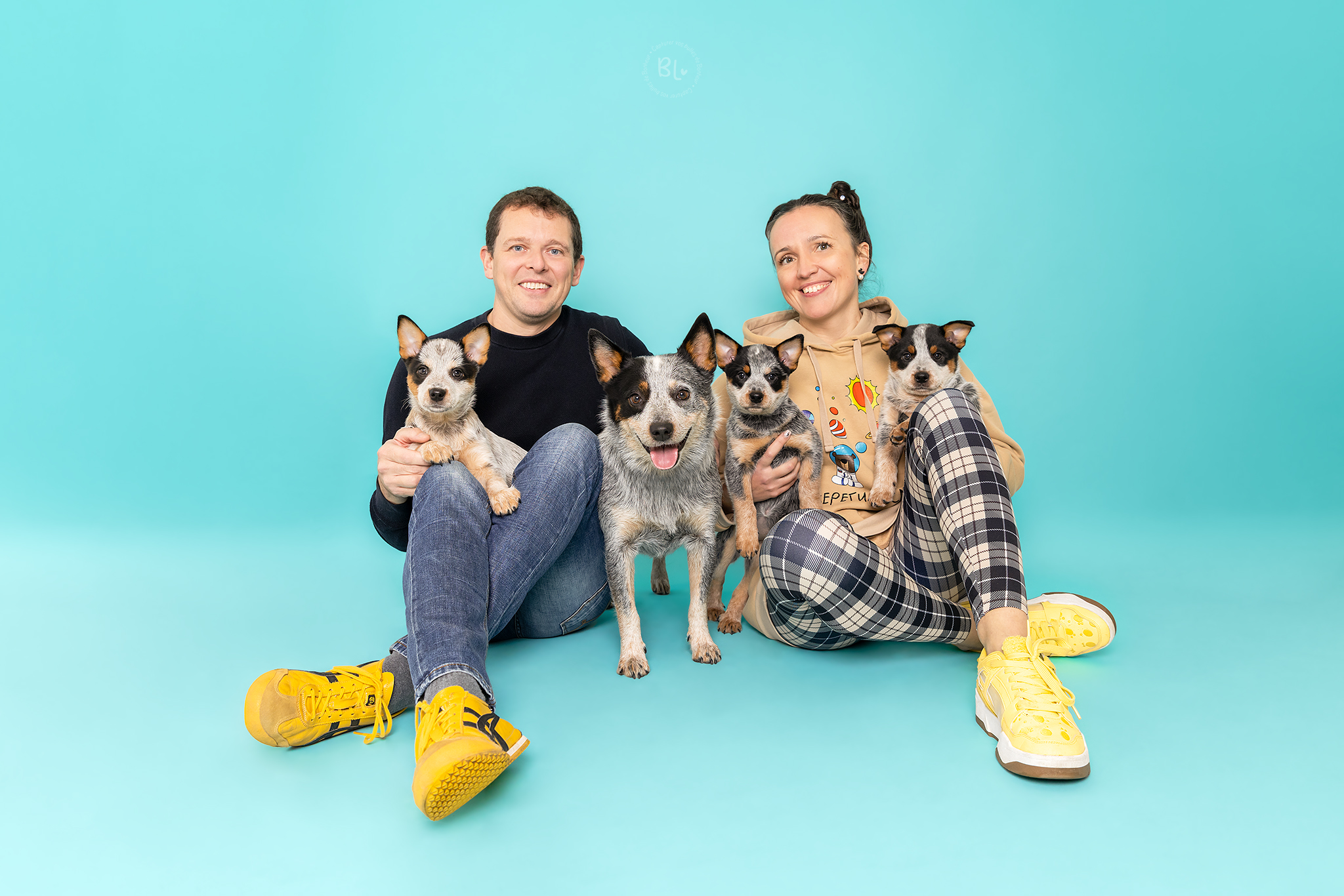 photographe-chien-chat-cheval-studio-extérieur-brest-Finistère-Plougonvelin