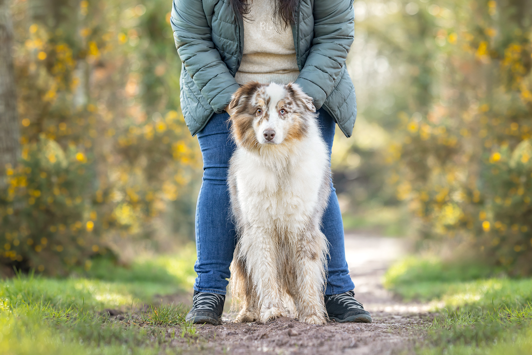photographe-chien-chat-cheval-Bretagne-Finistère-Brest