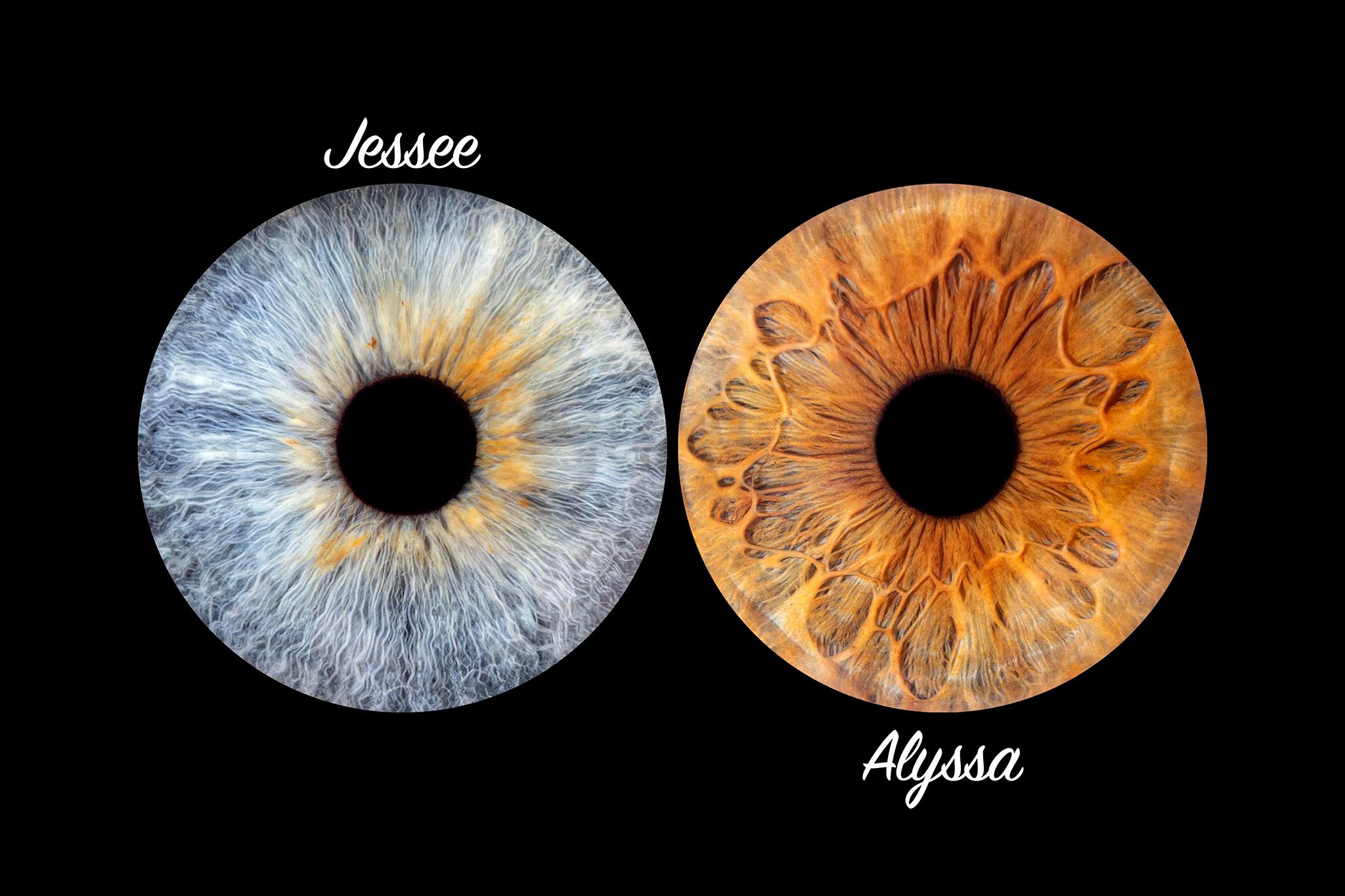 Photo-Bubble-Life-photographe-iris-Plougonvelin-Brest-Finistère