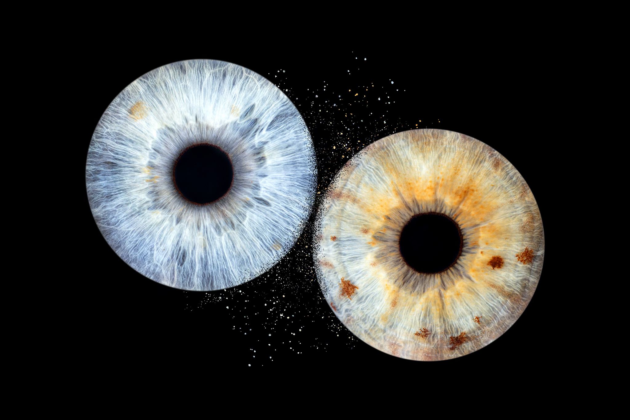 Photo-Bubble-Life-photographe-iris-Plougonvelin-Brest-Finistère