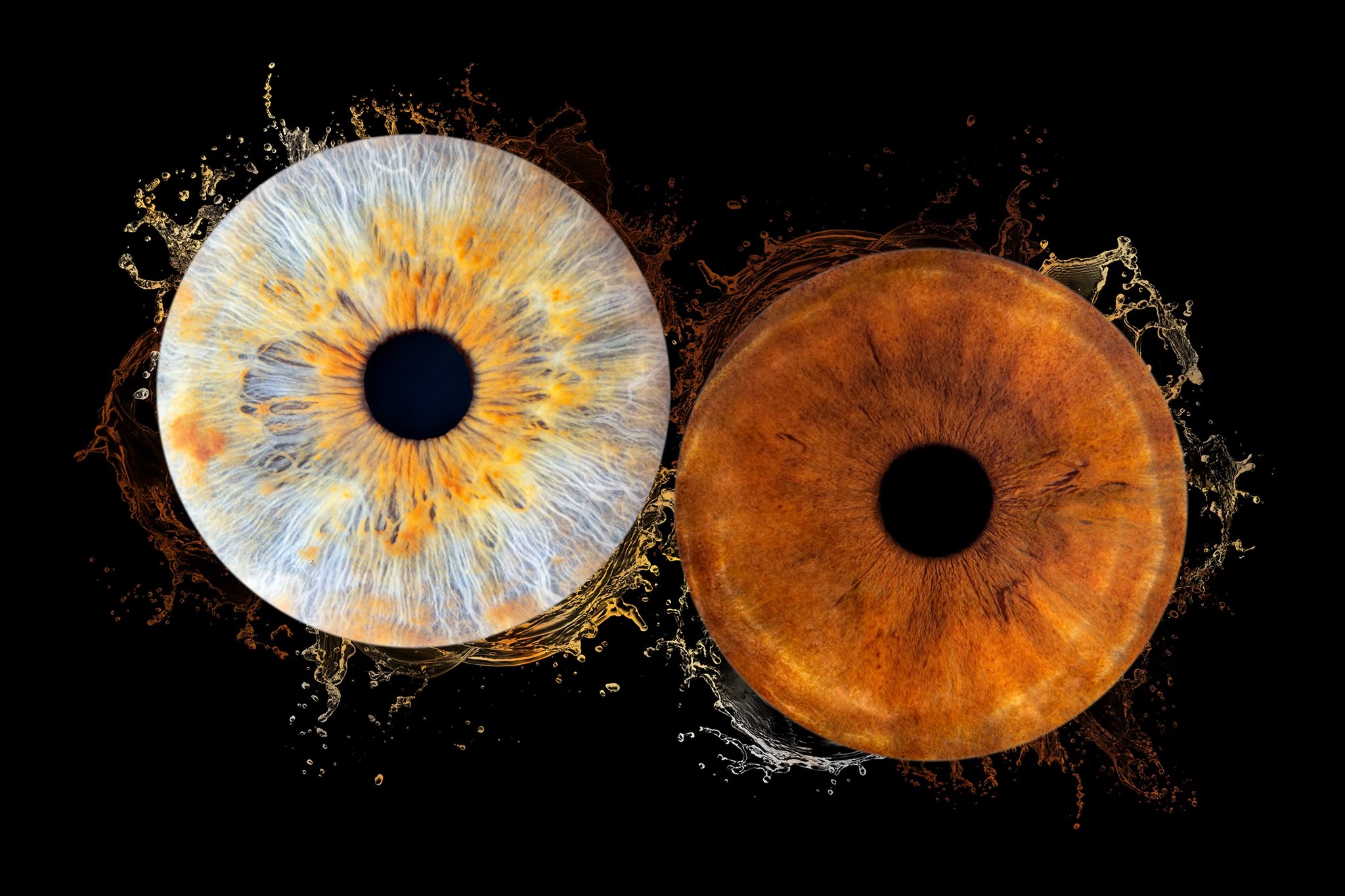 Photo-Bubble-Life-photographe-iris-Plougonvelin-Brest-Finistère