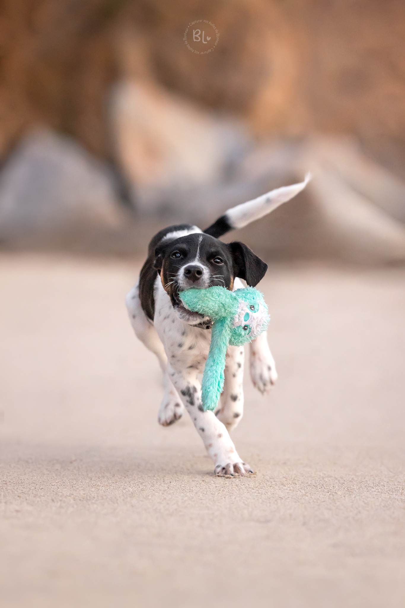 Photo-Bubble-Life-Séance-Plage-Plougonvelin-Finistère