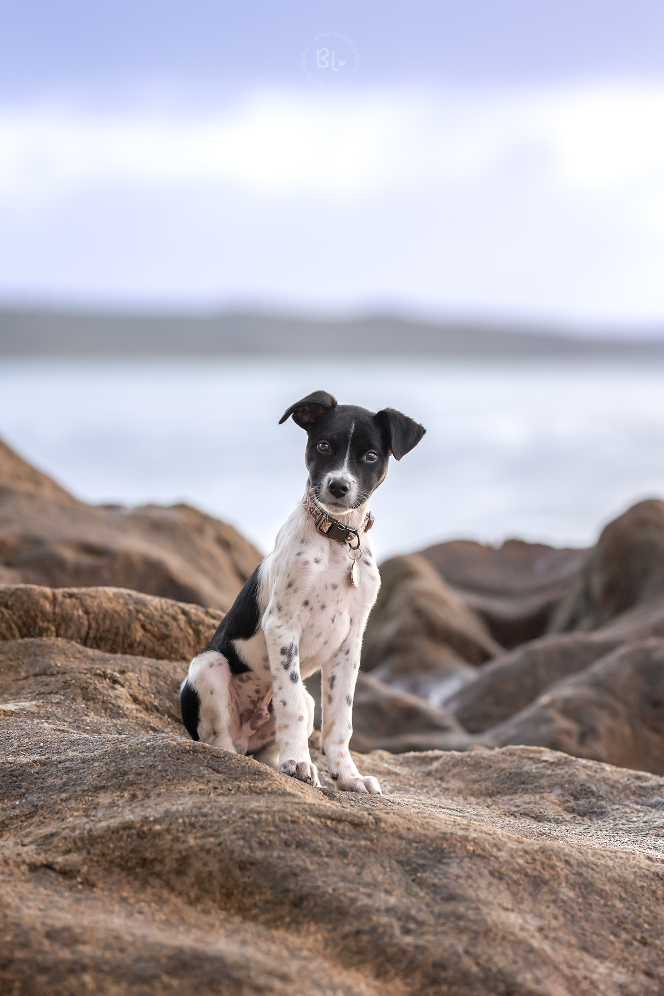 Photo-Bubble-Life-Séance-Plage-Plougonvelin-Finistère