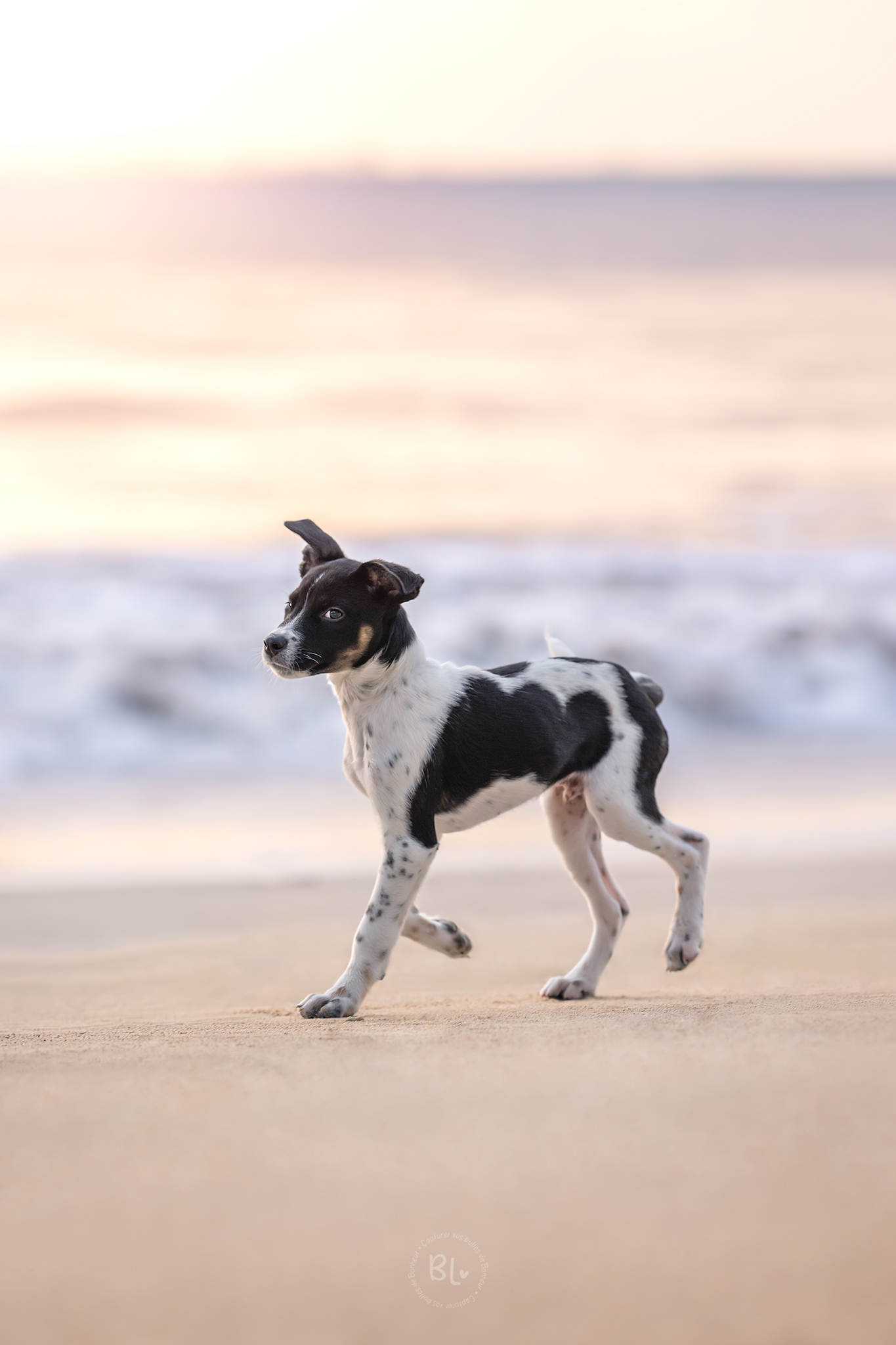 Photo-Bubble-Life-Séance-Plage-Plougonvelin-Finistère