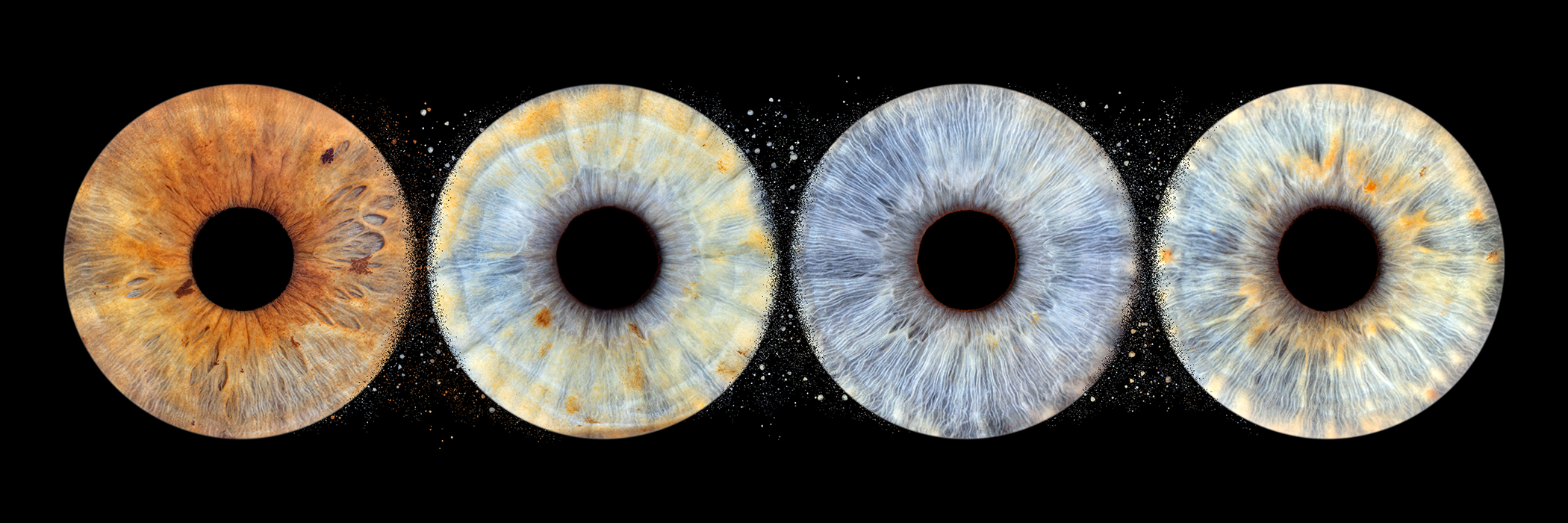 Photographe-iris-brest-Finistère-Photo-Bubble-Life
