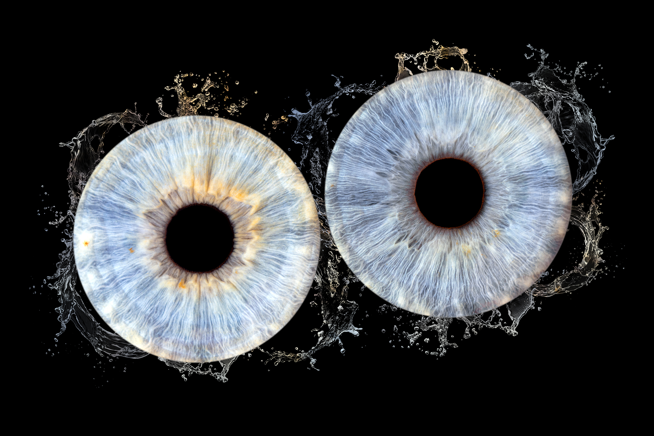 photo-iris-plouzané-plougonvelin-brest-Finistère