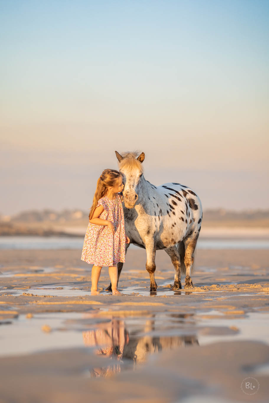 Photo-Bubble-Life-photographe-cheval-poney-Finistère