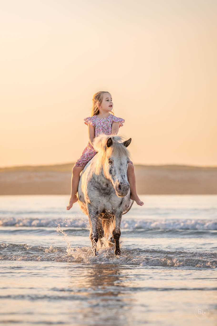 Photo-Bubble-Life-photographe-cheval-poney-Finistère