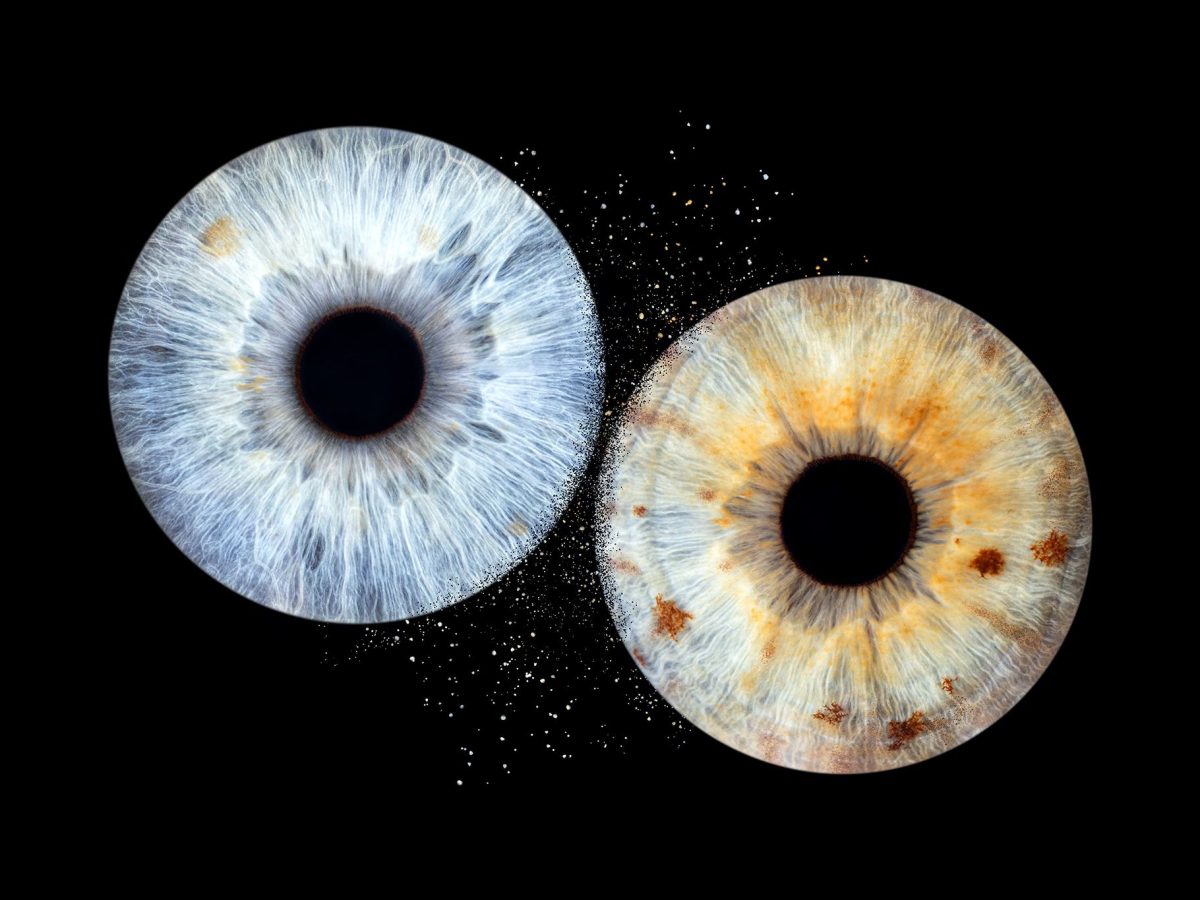 Photo-Bubble-Life-photographe-iris-Plougonvelin-Brest-Finistère