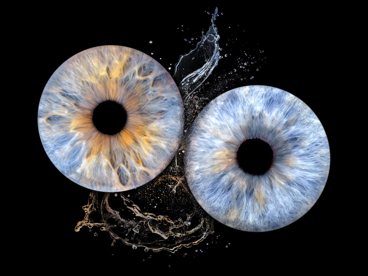 photo-iris-brest-plouzané-quimper-photographe