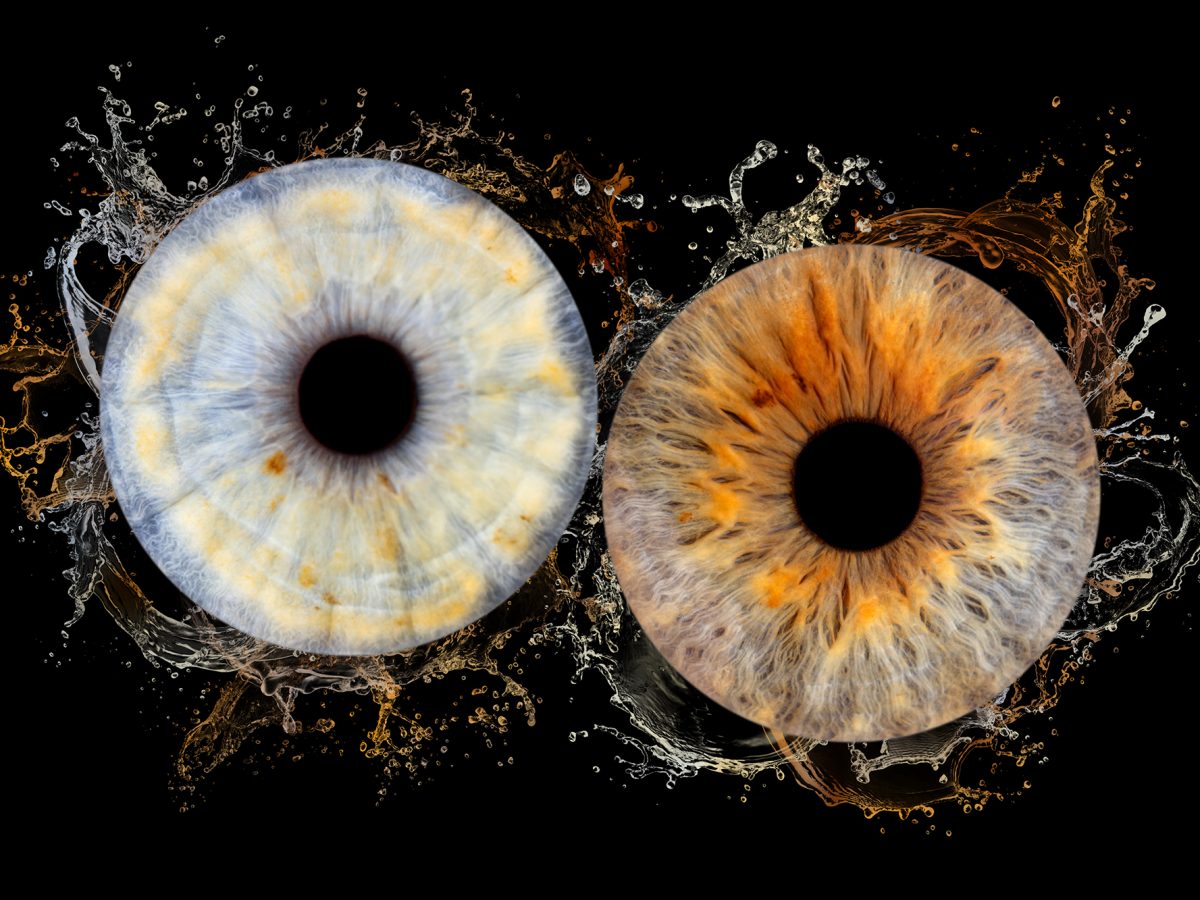Séance photo iris en couple plougonvelin brest Finistère