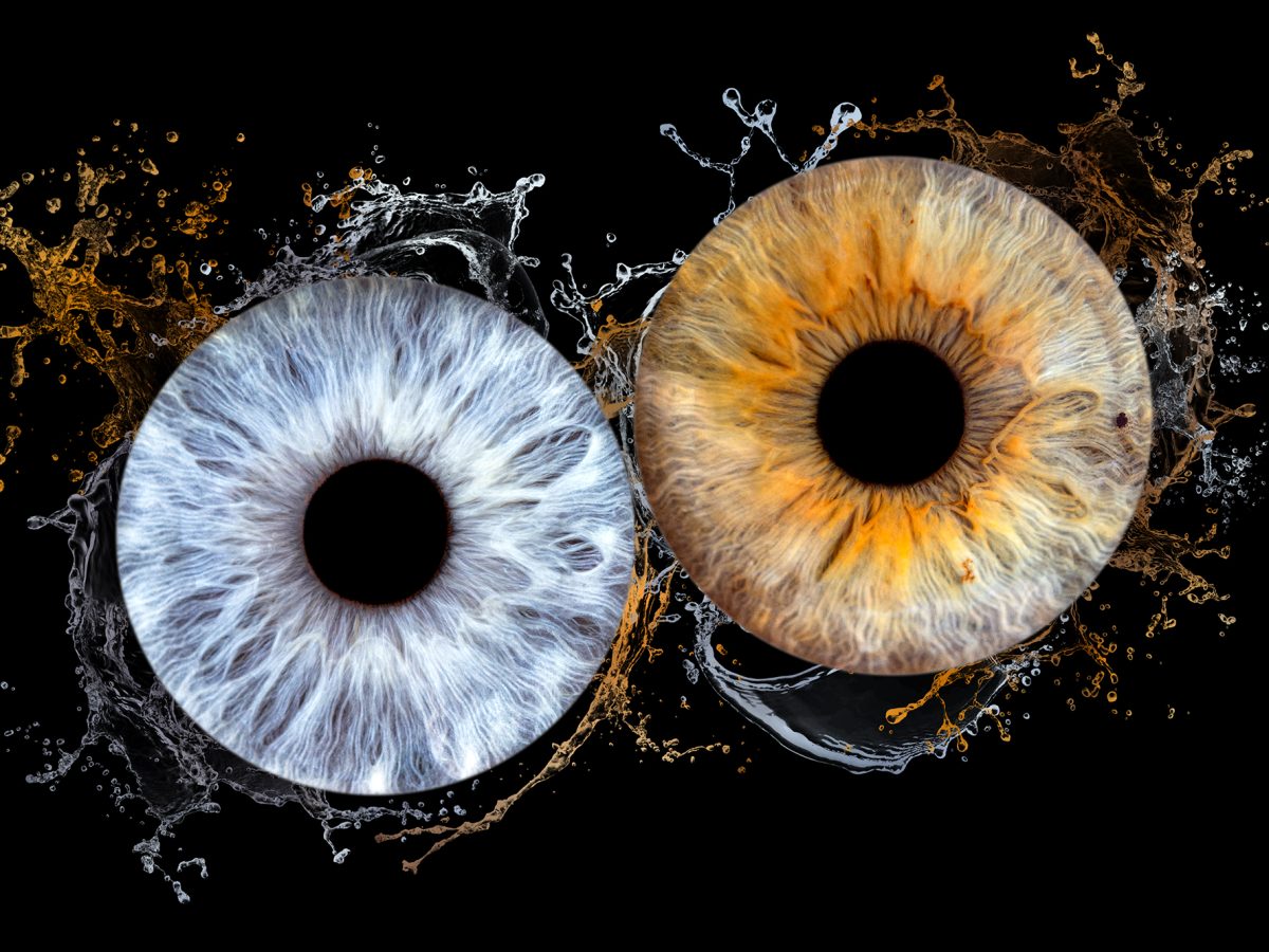 Séance photo iris en couple plougonvelin brest Finistère