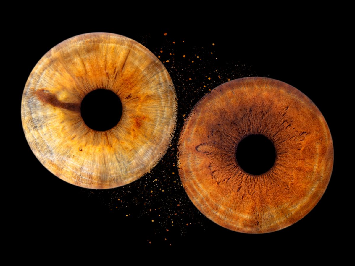 Photographe-iris-photo-bubble-life-oeil-couple-famille-brest-plougonvelin