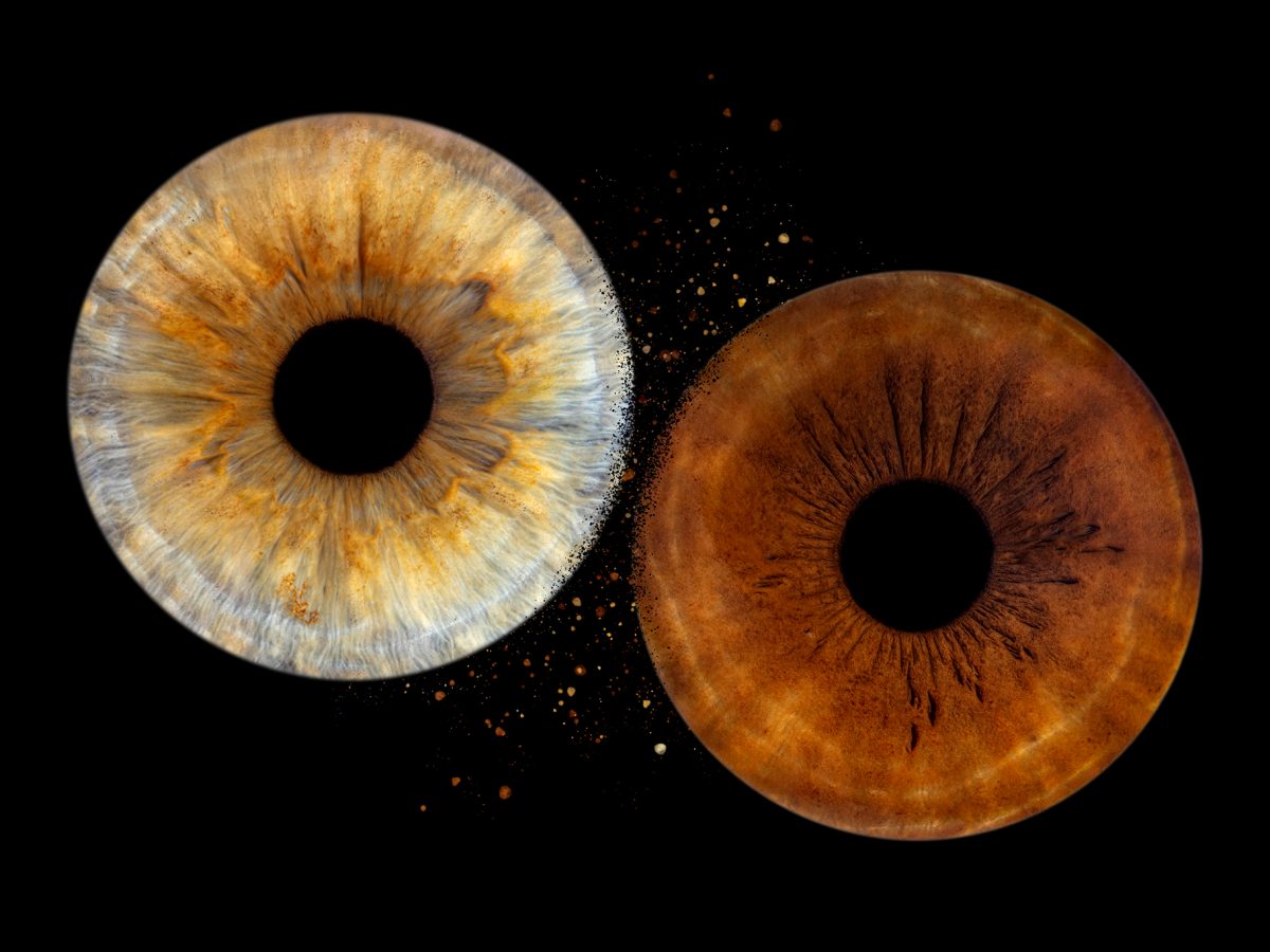 Surprise-photo-iris-idée-cadeau-photographe-oeil-brest-landerneau-finistère