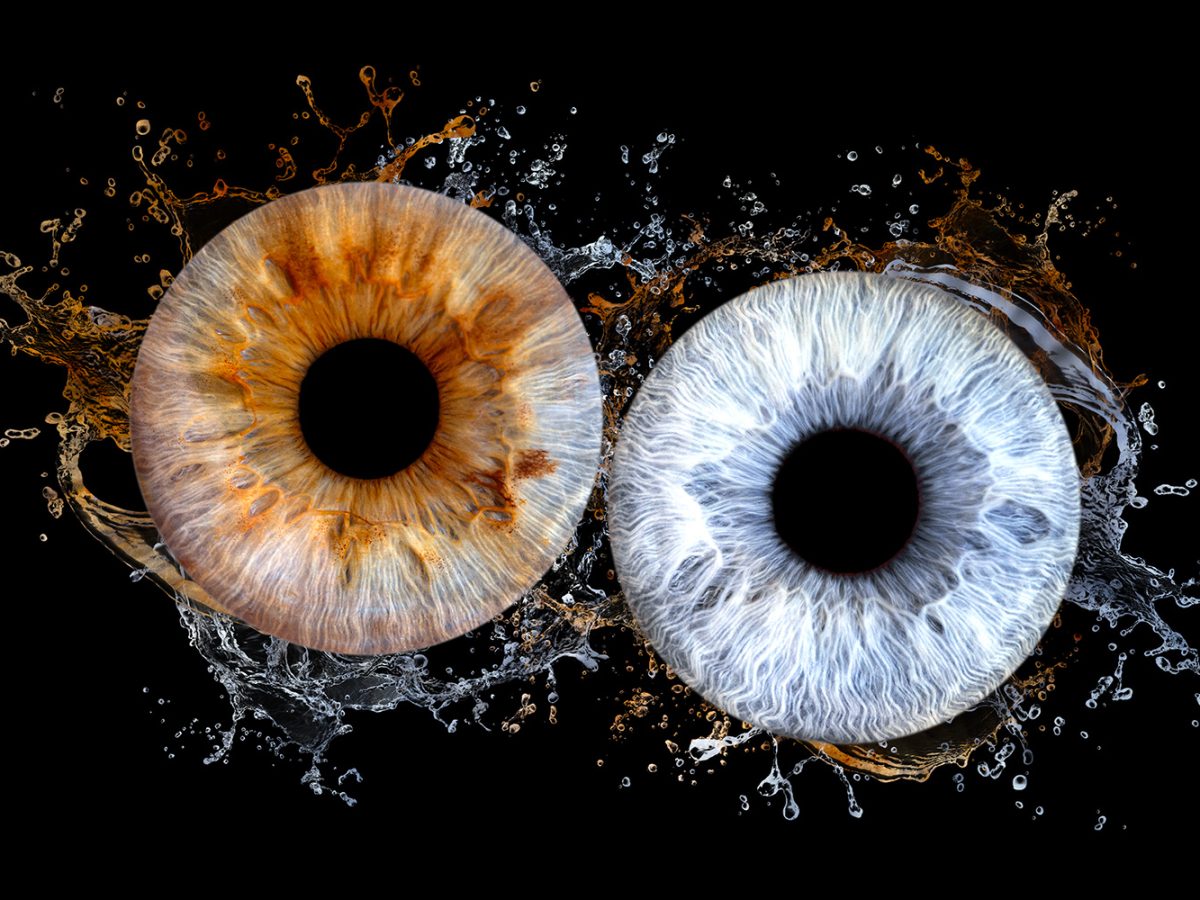 photo-iris-couple-brest-plouzané-guipavas-bourg-blanc-finistère