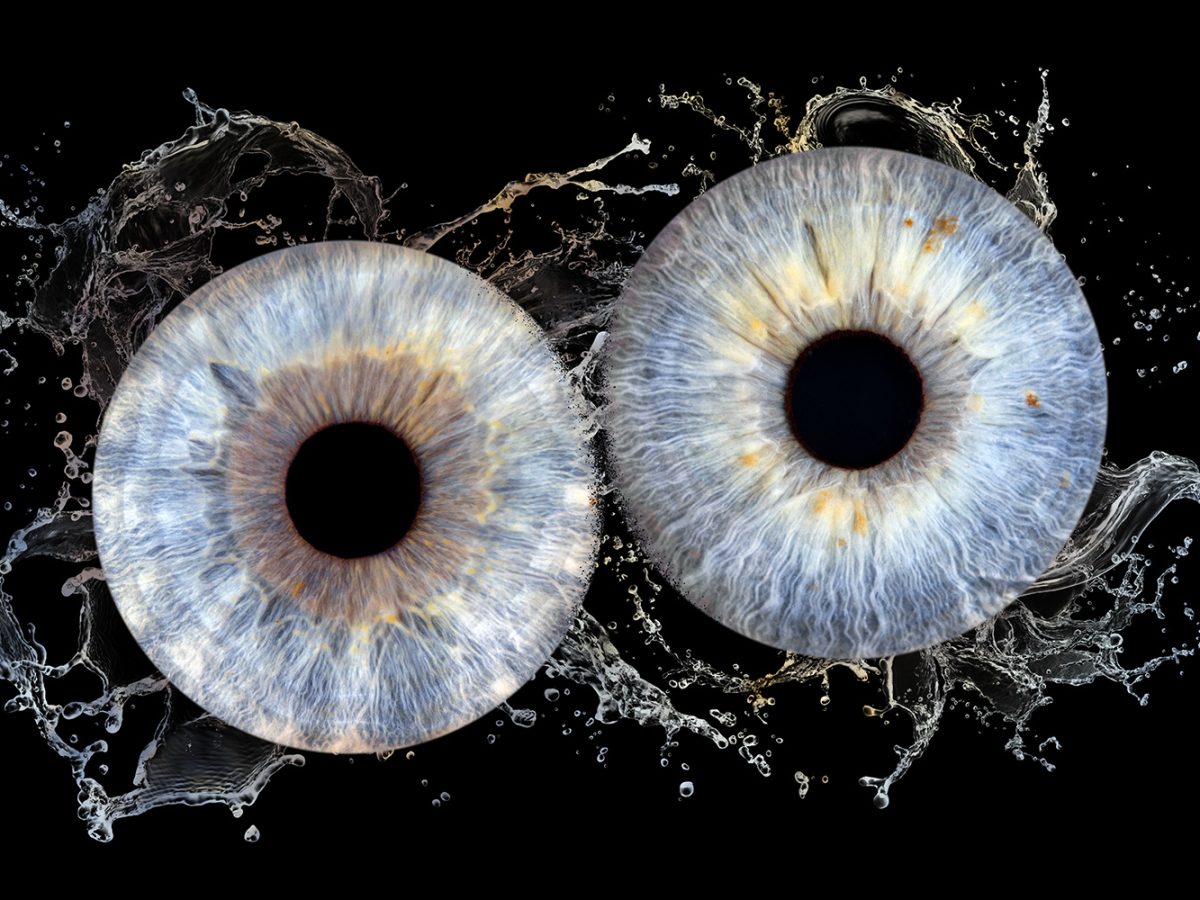 photo-iris-couple-eau-brest-plouzané-plougastel