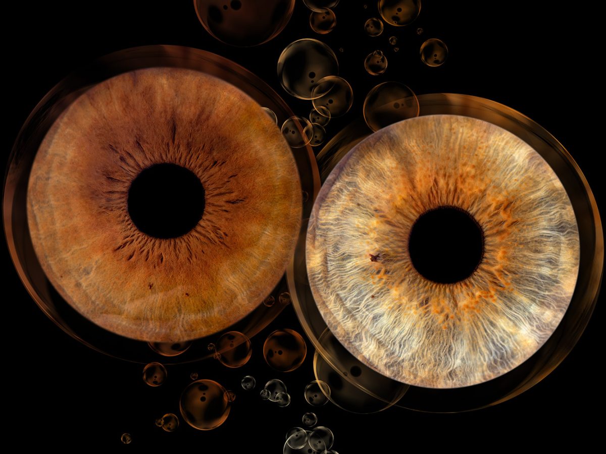 photographe-iris-oeil-finistère-brest-plouzané-couple