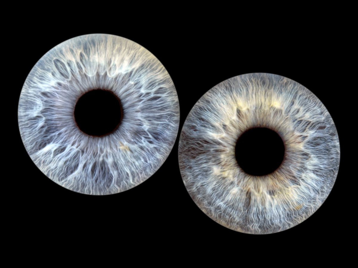 séance-photo-iris-couple-famille-brest-finistère